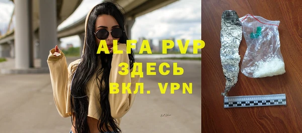 СК Алексин