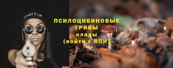 СК Алексин