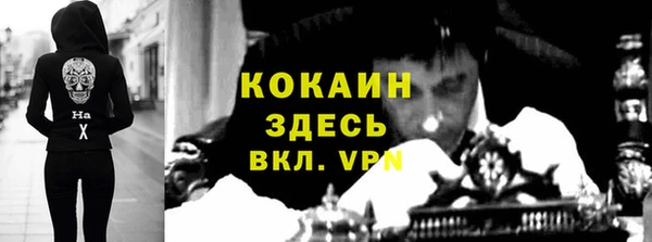 СК Алексин