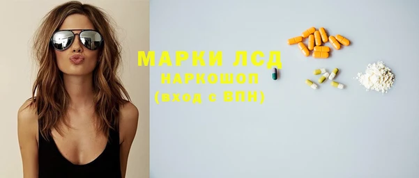 крисы Алзамай