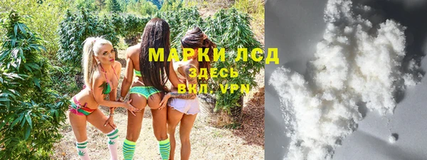 СК Алексин