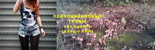 крисы Алзамай