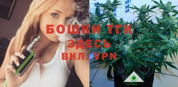СК Алексин