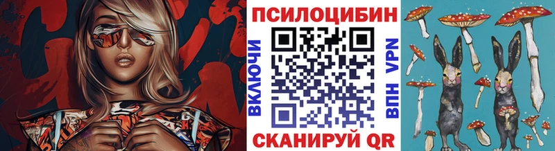 хочу   Талица  Галлюциногенные грибы прущие грибы 