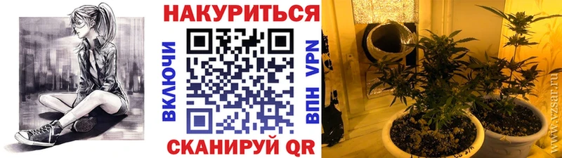 купить закладку  Талица  Конопля OG Kush 